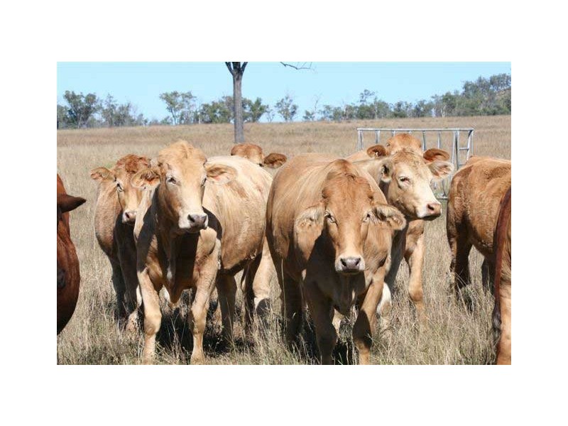 Gympie QLD 4570