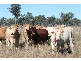 Gympie QLD 4570