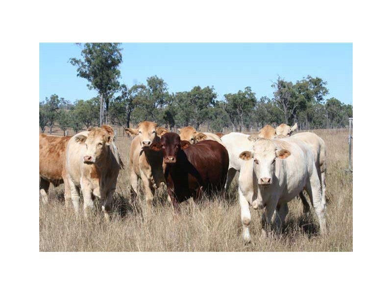 Gympie QLD 4570