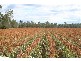 Gympie QLD 4570