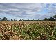Gympie QLD 4570