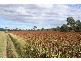 Gympie QLD 4570