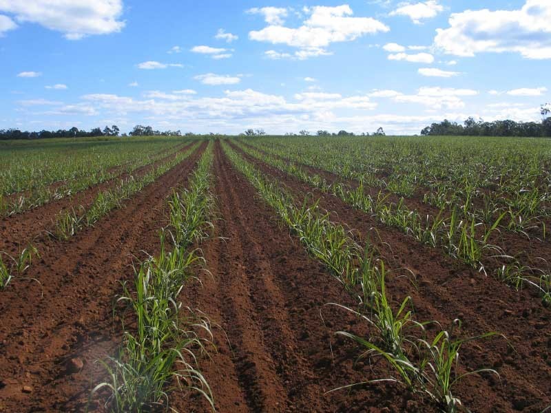 Childers QLD 4660