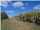 Childers QLD 4660