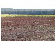 Childers QLD 4660