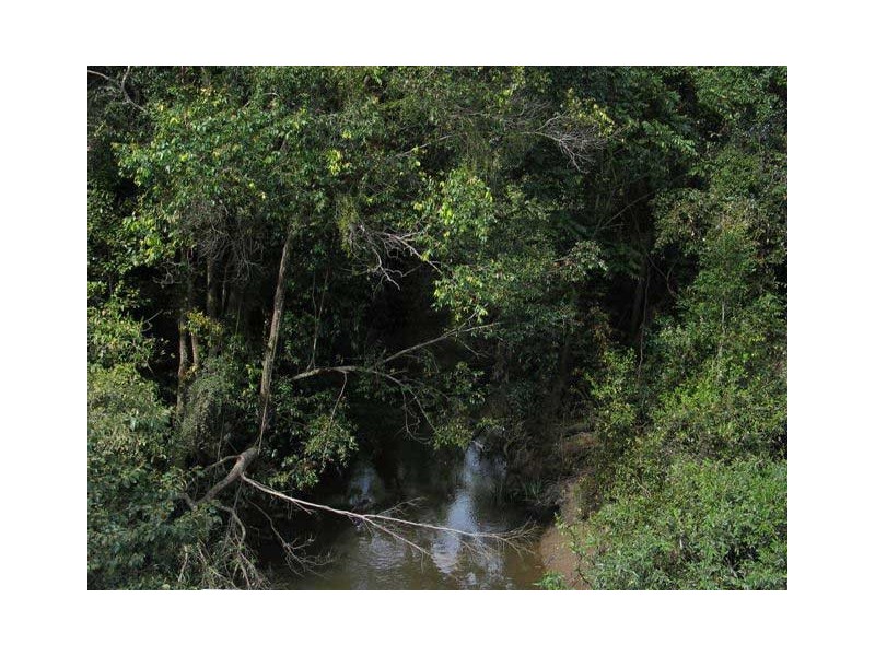 Kia Ora QLD 4570