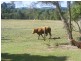 Lot 2 David Walker Road, Wolvi QLD 4570