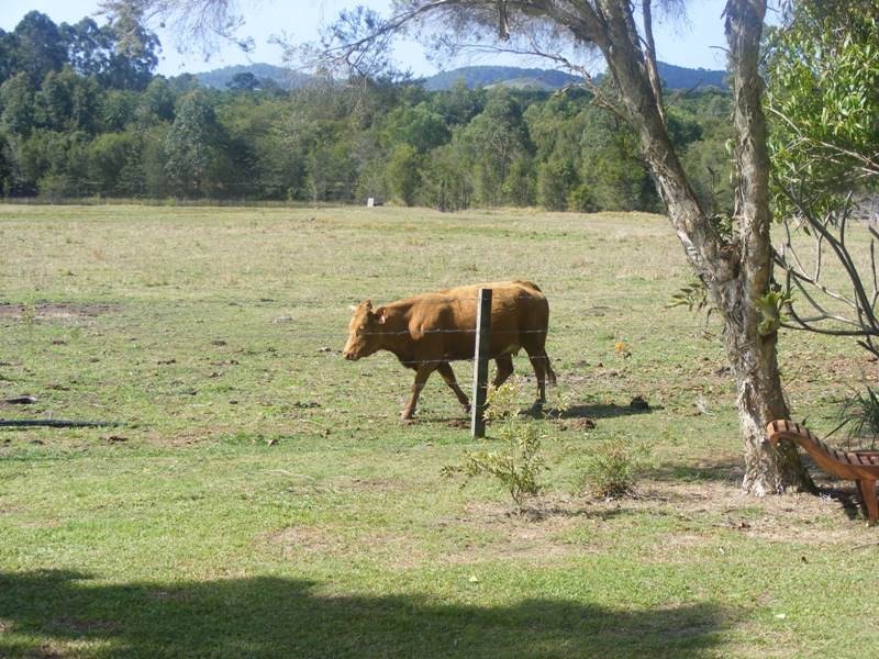 Lot 2 David Walker Road, Wolvi QLD 4570