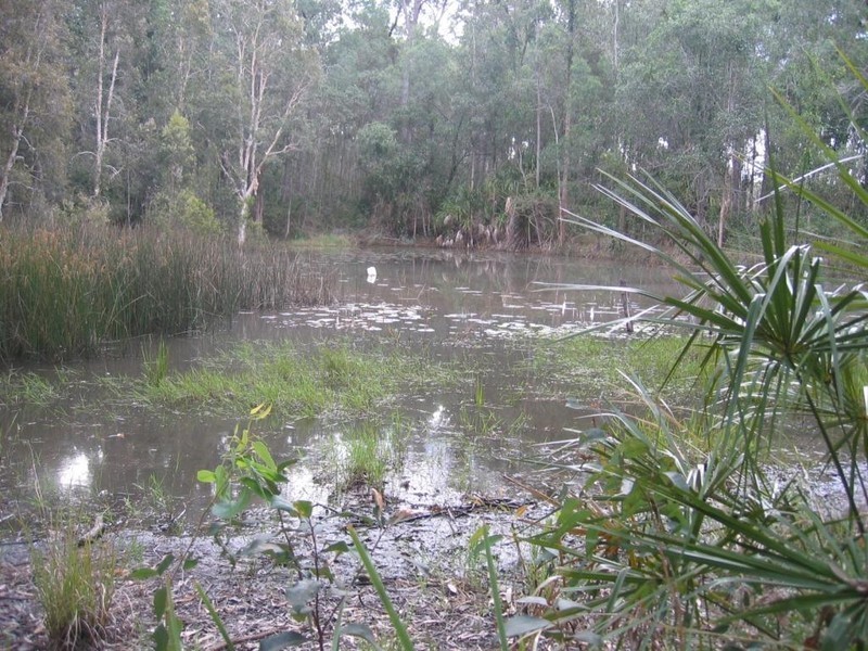 131 Glenbar Road, The Palms QLD 4570