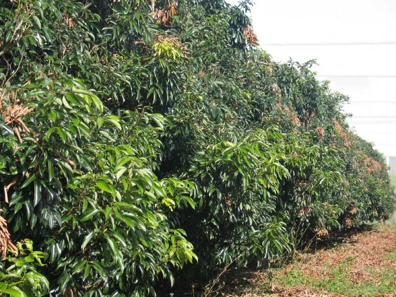 Goomboorian QLD 4570