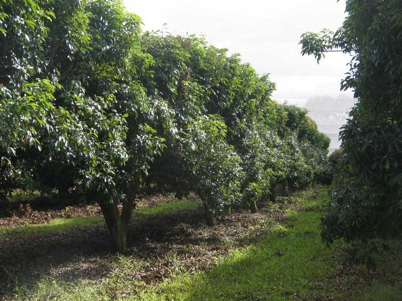 Goomboorian QLD 4570