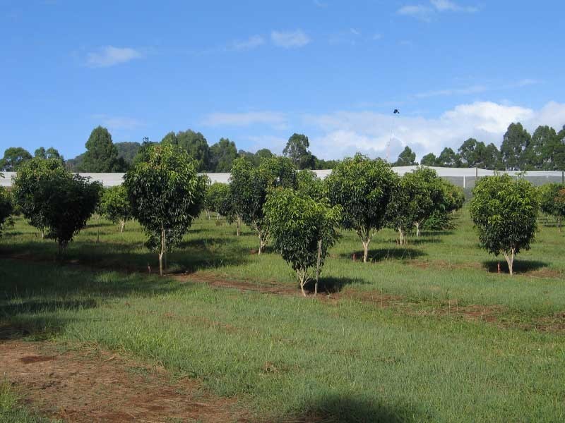 Goomboorian QLD 4570