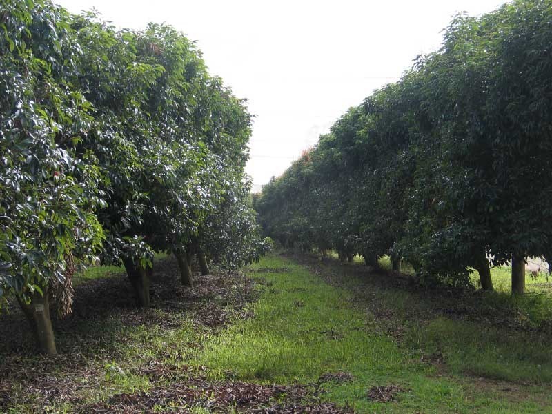 Goomboorian QLD 4570