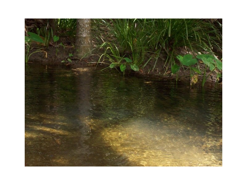 Lot 1 Mulligan Highway, Cooktown QLD 4895