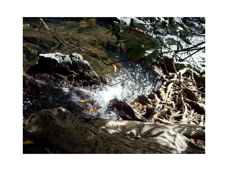 Lot 1 Mulligan Highway, Cooktown QLD 4895