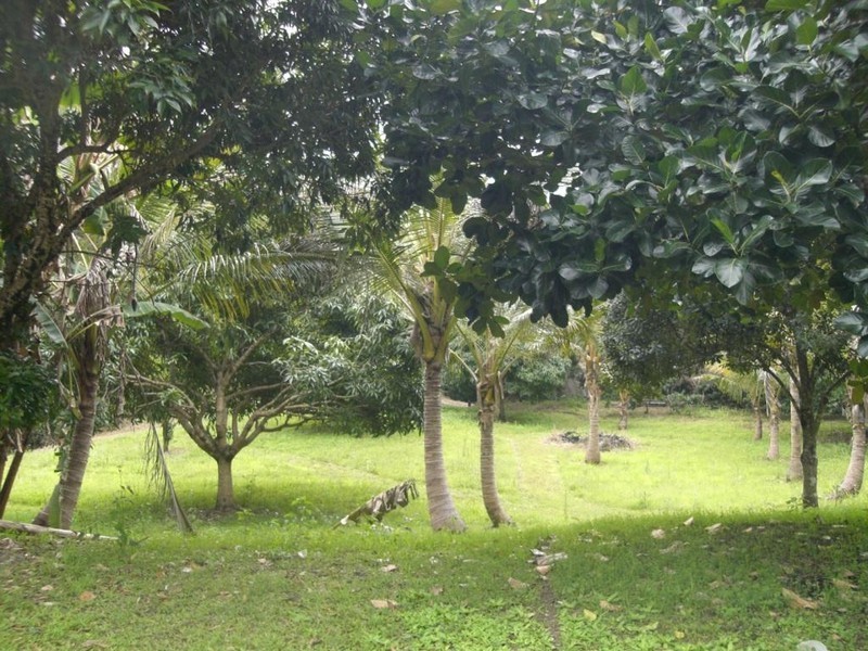 160 Ryan Road, Wolvi QLD 4570