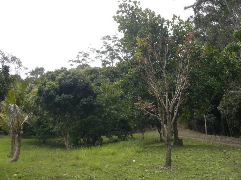 160 Ryan Road, Wolvi QLD 4570