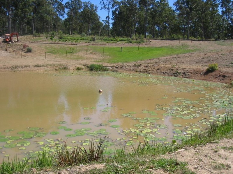 31 Curlew Court, Tamaree QLD 4570