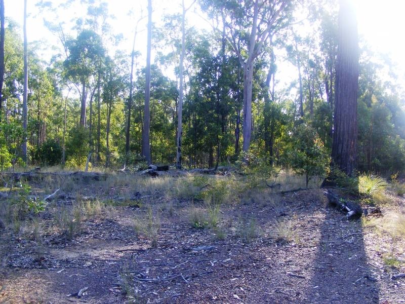 246 Beckmans Road, Glenwood QLD 4570