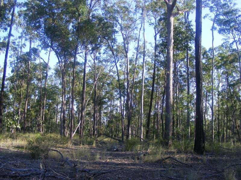 246 Beckmans Road, Glenwood QLD 4570