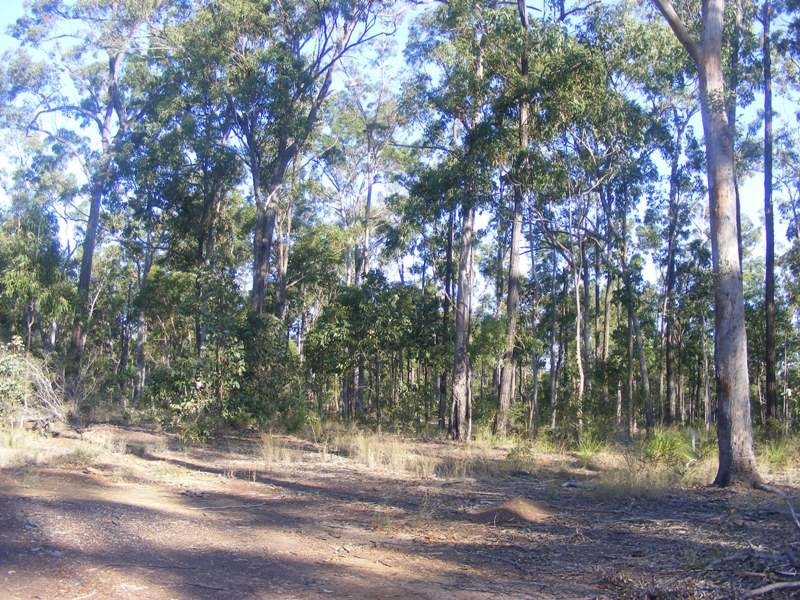 246 Beckmans Road, Glenwood QLD 4570