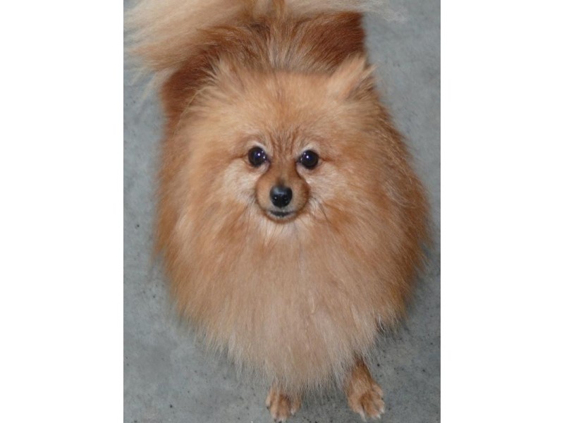 Shop 4/24 Barter Street, Gympie QLD 4570