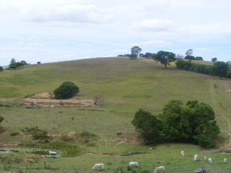 326 Old Goomborian Road, Veteran QLD 4570
