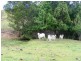 326 Old Goomborian Road, Veteran QLD 4570