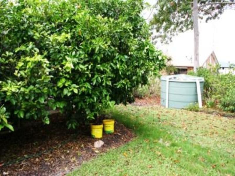 Cooloola Cove QLD 4580