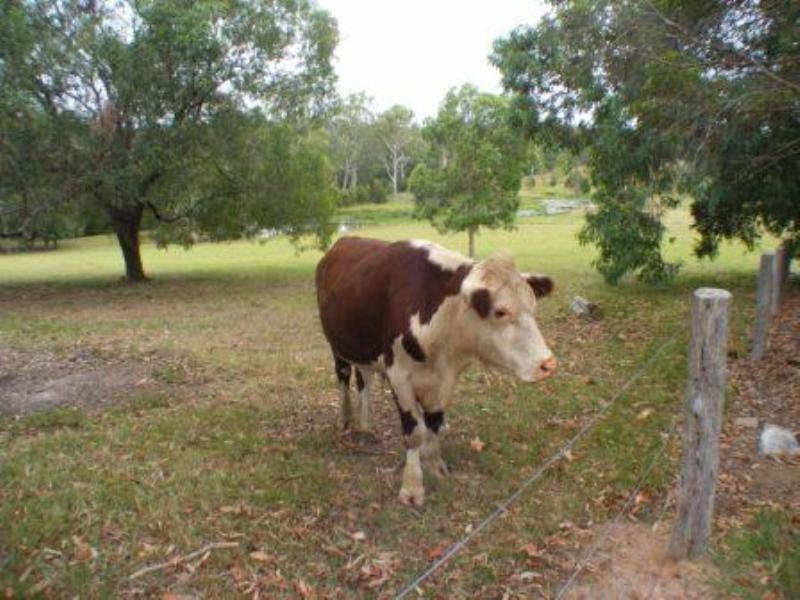 58 Rocks Road, Southside QLD 4570