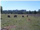 Lot 2 David Walker Road, Wolvi QLD 4570