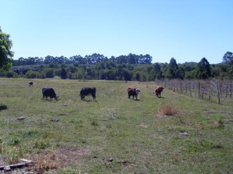 Lot 2 David Walker Road, Wolvi QLD 4570