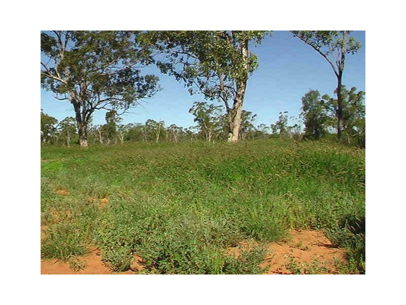 Ballaroo QLD 4455