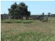 Ballaroo QLD 4455