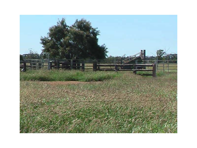 Ballaroo QLD 4455