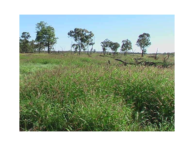 Ballaroo QLD 4455