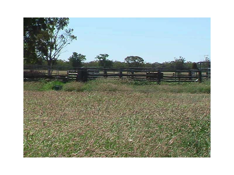 Ballaroo QLD 4455