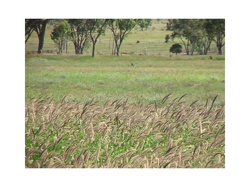 Ballaroo QLD 4455