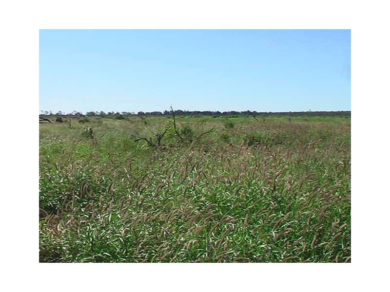 Ballaroo QLD 4455