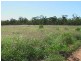 Ballaroo QLD 4455