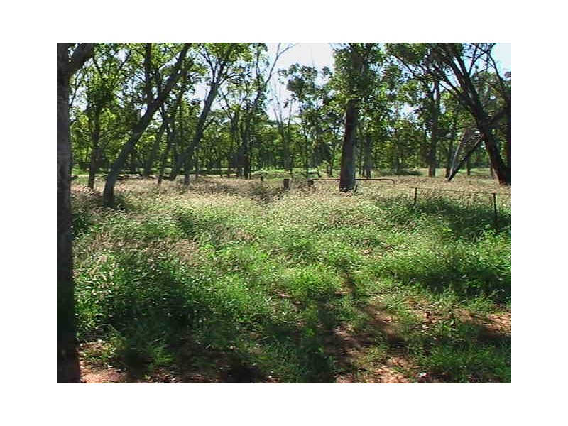 Ballaroo QLD 4455
