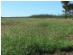 Ballaroo QLD 4455