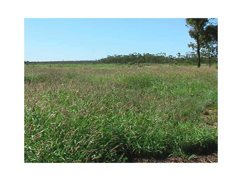 Ballaroo QLD 4455