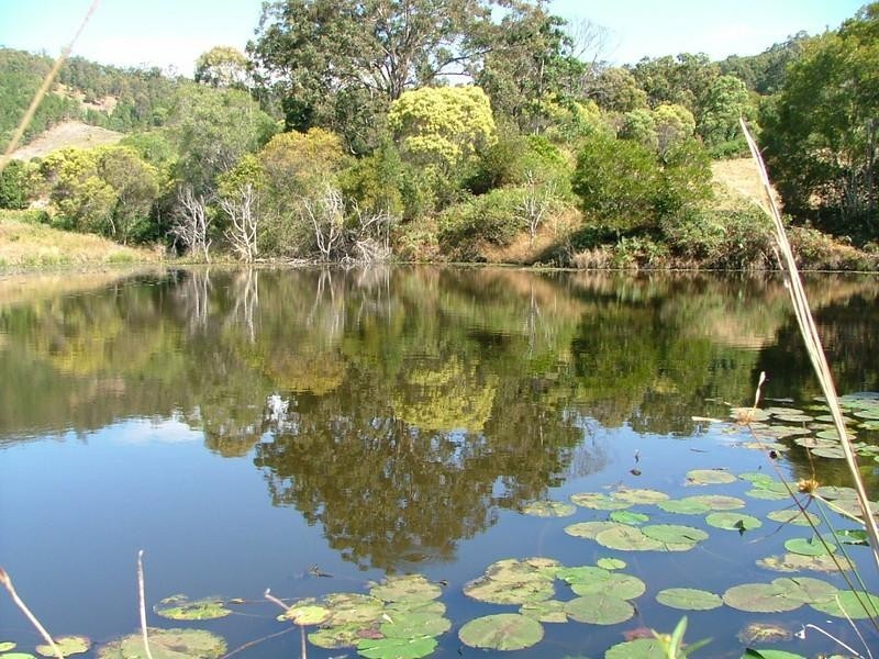 Cedar Pocket QLD 4570