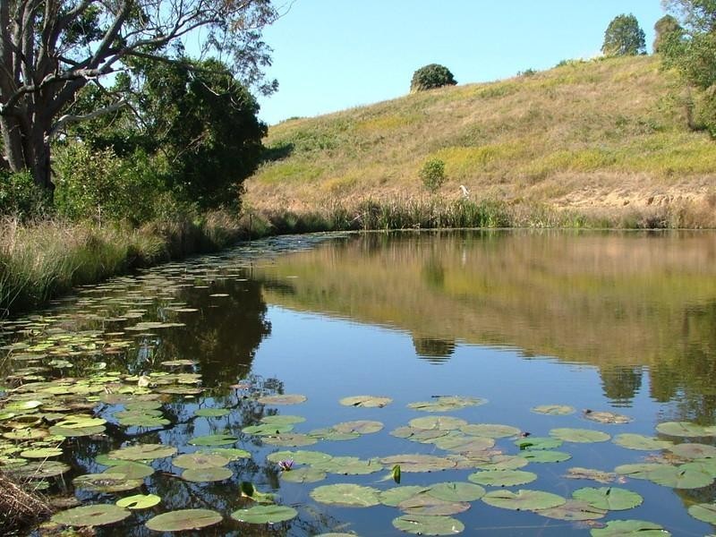 Cedar Pocket QLD 4570