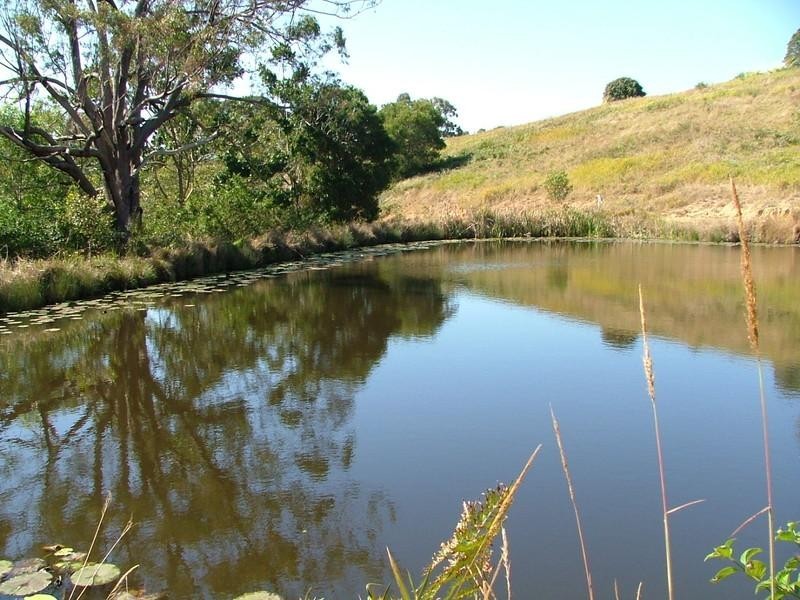 Cedar Pocket QLD 4570