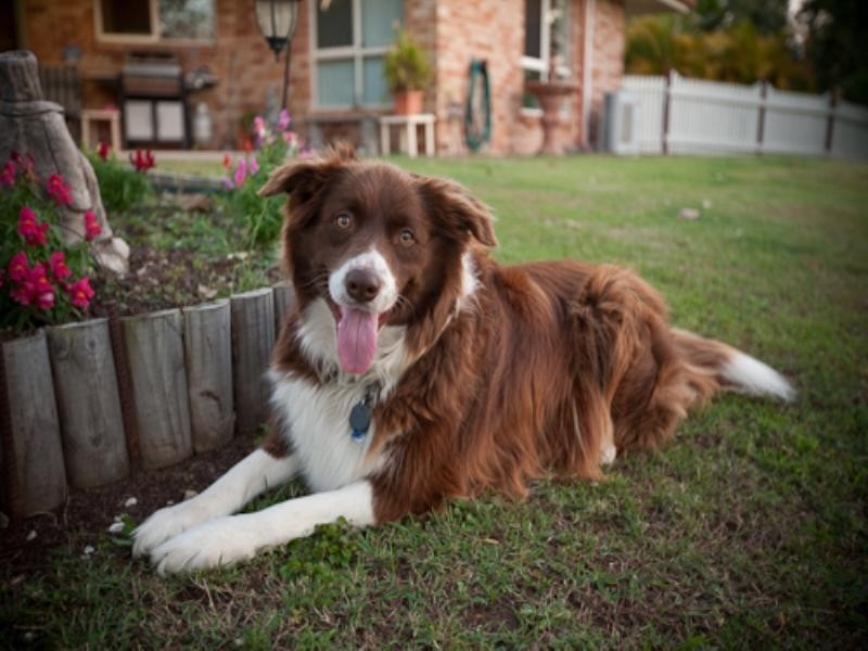 2 Henry Parkes, Southside QLD 4570