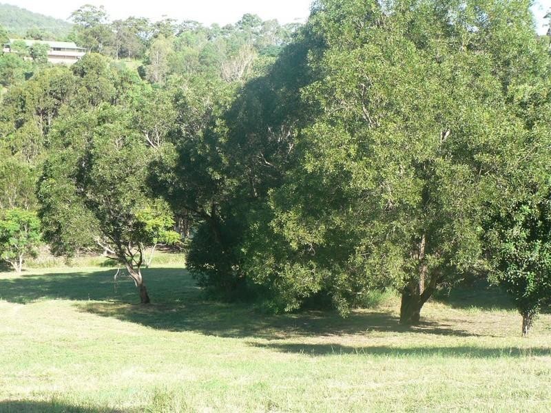 50A Hillview Road, Cedar Pocket QLD 4570