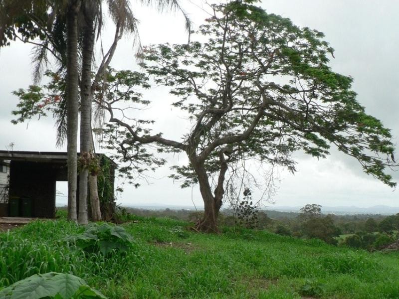 655 McIntosh Creek, Mcintosh Creek QLD 4570