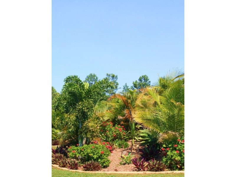 50 Larkin Road, Pie Creek QLD 4570